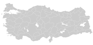 Turkey_provinces_blank_gray.svg